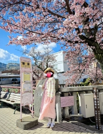 🌺 6/26  #日本 #東京 ご予約いただける女性のご案内 🌺 新人